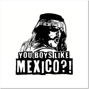 YOU BOYS LIKE MEXICO?! Posters and Art